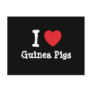 I love Guinea Pigs heart custom personalized Post Cards