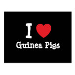 I love Guinea Pigs heart custom personalized Post Cards