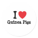 I love Guinea Pigs heart custom personalized stickers by funnycustomtshirts I love Guinea Pigs heart custom personalized stickers