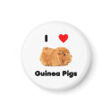 I love guinea pigs Magnet