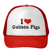 I Love Guinea Pigs Mesh Hat