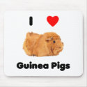 I love guinea pigs Mousepad