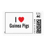 I love Guinea Pigs Postage Stamp