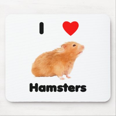 Love Hamster