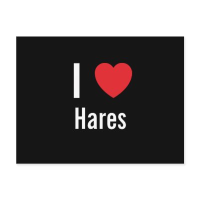 I love Hares Postcard by funnycustomtshirts