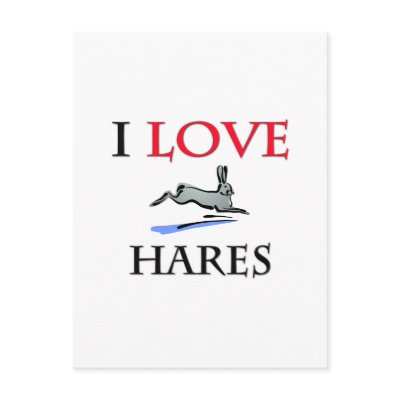 I Love Hares Post Cards by tshirtshirts