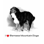 I Love (Heart) Bernese Mountain Dogs t-shirts