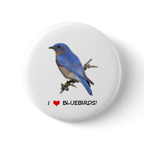 I Love (heart) Bluebirds Pins