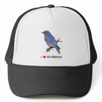 I Love (heart) Bluebirds Hats
