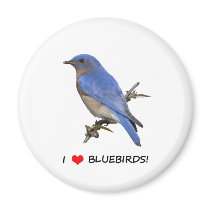 I Love (heart) Bluebirds Refrigerator Magnets