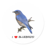 I Love (heart) Bluebirds Stickers