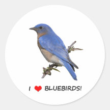 I Love (heart) Bluebirds Stickers
