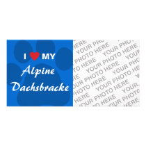 I Love (Heart) My Alpine Dachsbracke Custom Photo Card