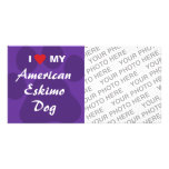 I Love (Heart) My American Eskimo Dog Picture Card