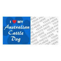 I Love (Heart) My Australian Cattle Dog Photo Card Template