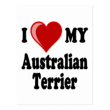 I Love (Heart) My Australian Terrier Dog Postcard