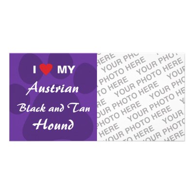 Austrian Hound