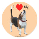 I Love Heart My Beagle Dog Photo Sticker Label sticker