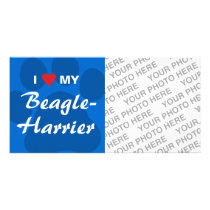I Love (Heart) My Beagle-Harrier Photo Card