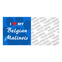 I Love (Heart) My Belgian Malinois Pawprint Customized Photo Card