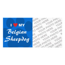 I Love (Heart) My Belgian Sheepdog Personalized Photo Card