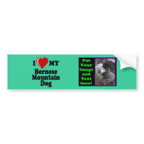 I Love (Heart) My Bernese Mountain Dog Bumper Stickers