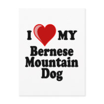 I Love (Heart) My Bernese Mountain Dog Post Cards