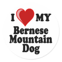 I Love (Heart) My Bernese Mountain Dog Round Sticker
