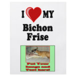 I Love (Heart) My Bichon Frise Dog Full Color Flyer