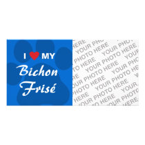I Love (Heart) My Bichon Frise Photo Cards