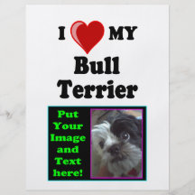 I Love (Heart) My Bull Terrier Dog Personalized Flyer