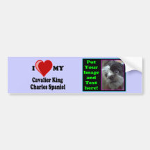 I Love (Heart) My Cavalier King Charles Spaniel Bumper Stickers