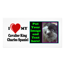 I Love (Heart) My Cavalier King Charles Spaniel Photo Cards