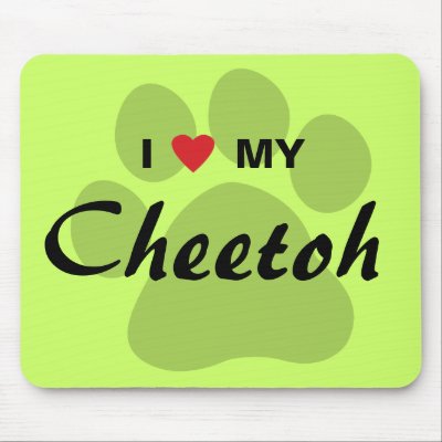 Cheetoh Cat Pics