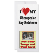 I Love (Heart) My Chesapeake Bay Retriever Dog Customized Rack Card