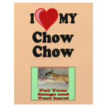 I Love (Heart) My Chow Chow Dog flyers