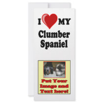 I Love (Heart) My Clumber Spaniel Dog rack cards