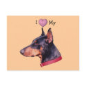 I Love Heart My Doberman Dog Photo Postcard by SmilinEyesTreasures I Love Heart My Doberman Dog Photo Postcard