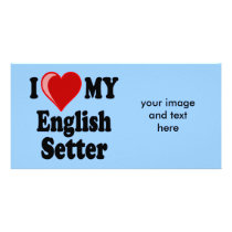 I Love (Heart) My English Setter Dog photo cards