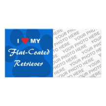 I Love (Heart) My Flat-Coated Retriever Photo Card