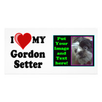 I Love (Heart) My Gordon Setter Dog photo cards