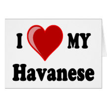 I Love (Heart) My Havanese Dog Cards