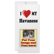 I Love (Heart) My Havanese Dog Rack Card