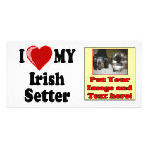 I Love (Heart) My Irish Setter Dog photo cards