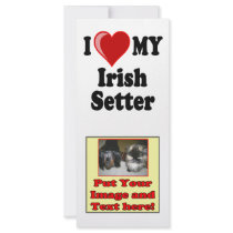 I Love (Heart) My Irish Setter Dog rack cards