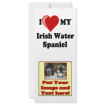 I Love (Heart) My Irish Water Spaniel Dog rack cards