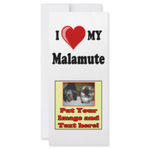 I Love (Heart) My Malamute Dog rack cards