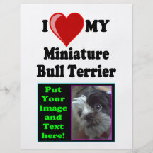 I Love (Heart) My Miniature Bull Terrier Dog Flyer