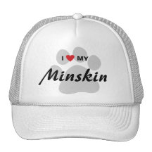 I Love (Heart) My Minskin Cat Pawprint Design Mesh Hats