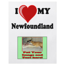 I Love (Heart) My Newfoundland Dog flyers
